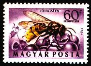 Hornisse (Vespa crabro) auf einer Briefmarke!